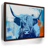 Featured image 10 for Highland Cow Blue