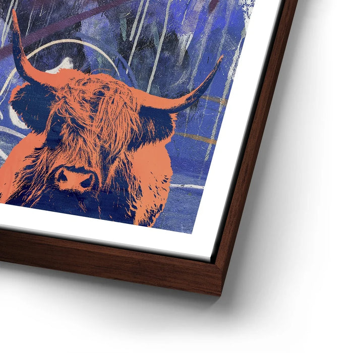 Featured image 14 for Highland Cows