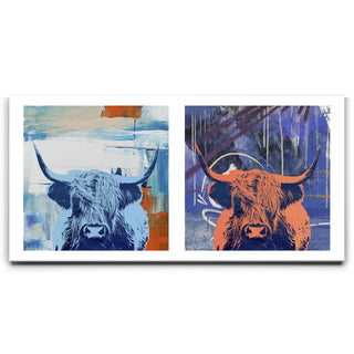 Highland Cows