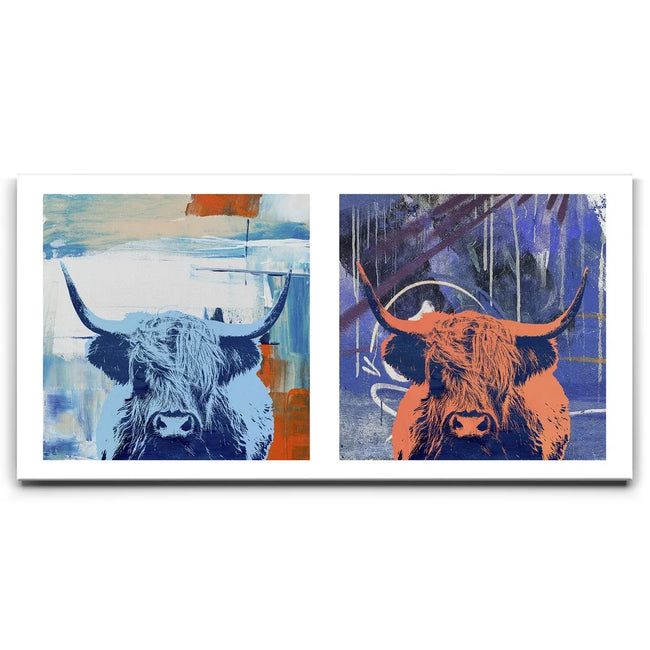 Featured image 1 for Highland Cows