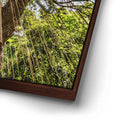 Thumbnail image 13 for Honolua Bay Trail Maui