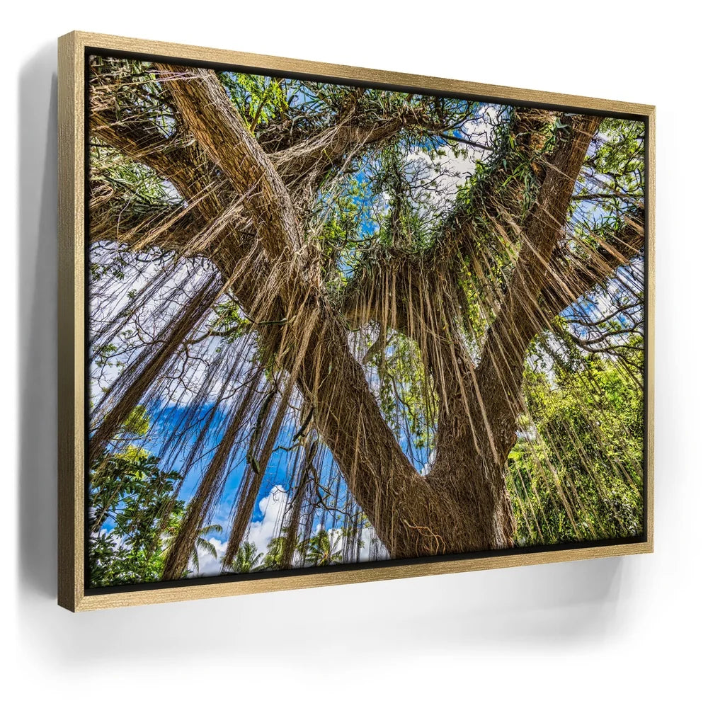 Featured image 7 for Honolua Bay Trail Maui