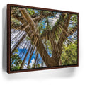 Featured image 10 for Honolua Bay Trail Maui