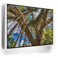 Featured image 6 for Honolua Bay Trail Maui