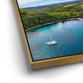 Thumbnail image 13 for Honolua Bay Maui