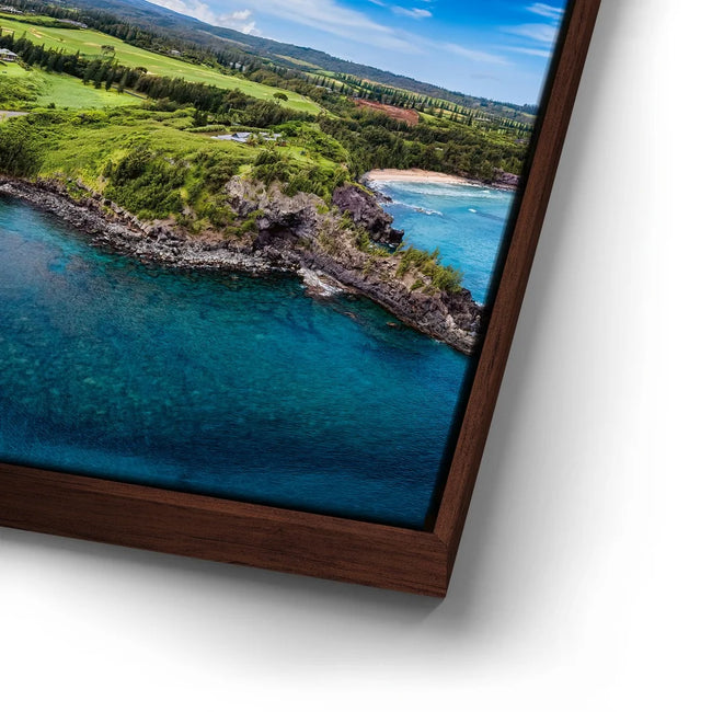 Featured image 15 for Honolua Bay Maui