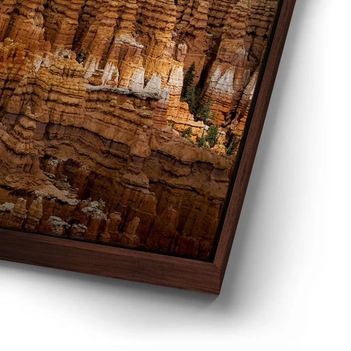 Featured image 14 for Hoodoo Storm Voodoo