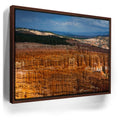 Featured image 10 for Hoodoo Storm Voodoo