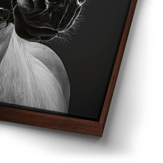 Featured image 14 for Horse Wearing Glasses II - Black and White