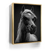 Featured image 7 for Horse Wearing Glasses II - Black and White