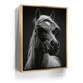 Featured image 7 for Horse Wearing Glasses II - Black and White