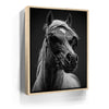 Featured image 9 for Horse Wearing Glasses II - Black and White