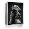 Featured image 8 for Horse Wearing Glasses II - Black and White