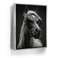 Featured image 8 for Horse Wearing Glasses II - Black and White