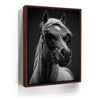 Featured image 10 for Horse Wearing Glasses II - Black and White