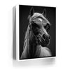 Featured image 6 for Horse Wearing Glasses II - Black and White