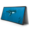 Thumbnail image 2 for Humpback and Pilots Meet - Tahiti