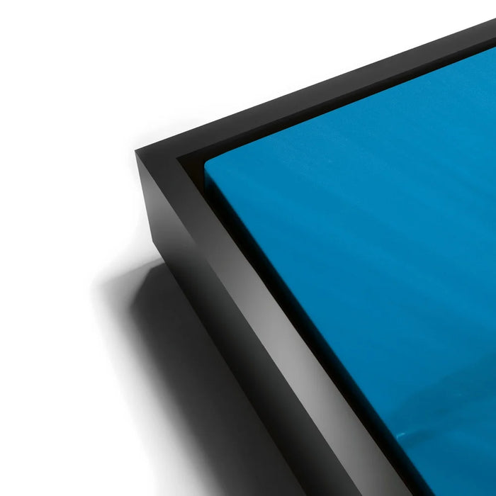 Featured image 11 for Humpback and Pilots Meet - Tahiti