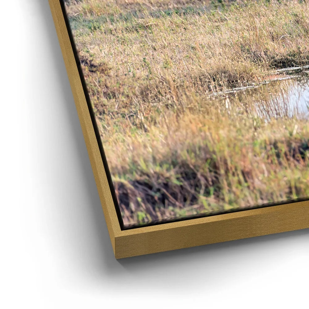 Featured image 12 for Hyena At Watering Hole Tanzania Africa
