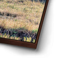 Thumbnail image 14 for Hyena At Watering Hole Tanzania Africa