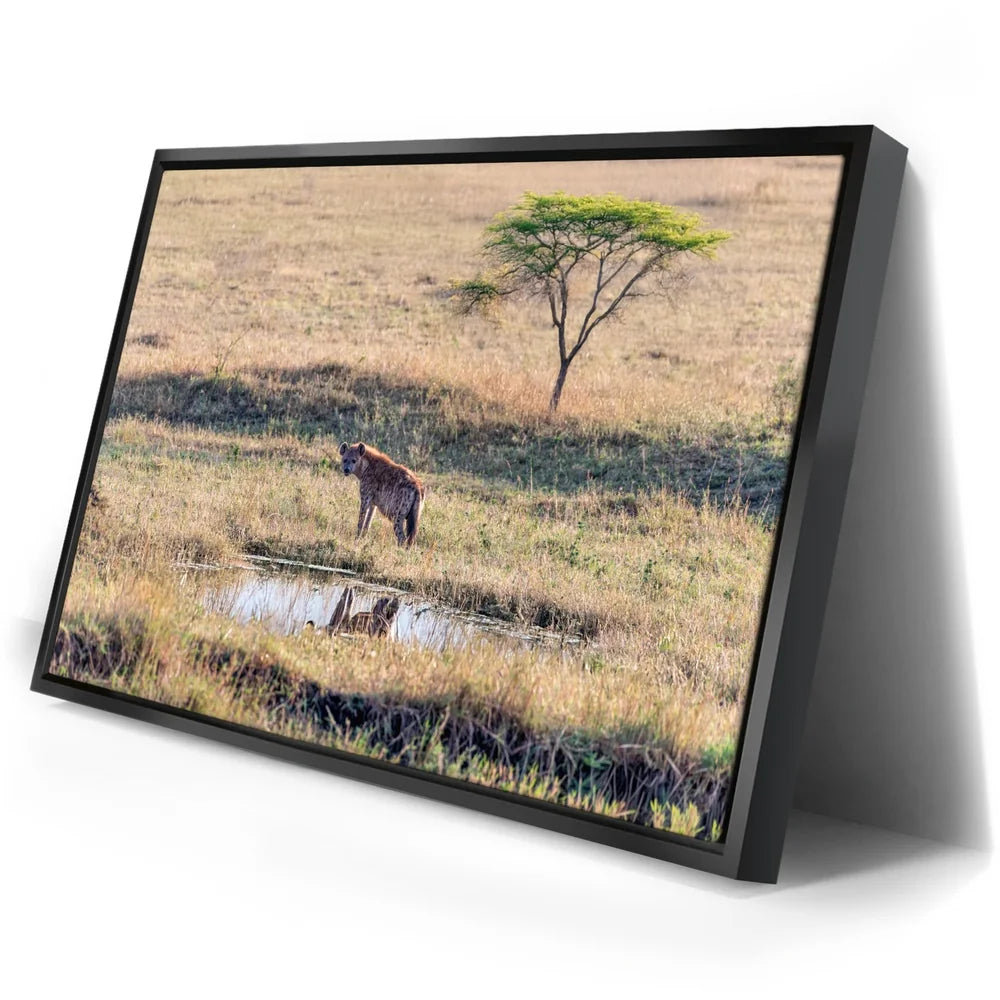 Featured image 2 for Hyena At Watering Hole Tanzania Africa