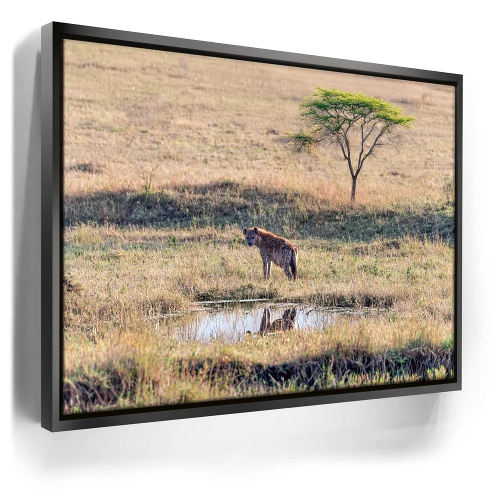 Featured image 5 for Hyena At Watering Hole Tanzania Africa