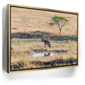 Featured image 7 for Hyena At Watering Hole Tanzania Africa