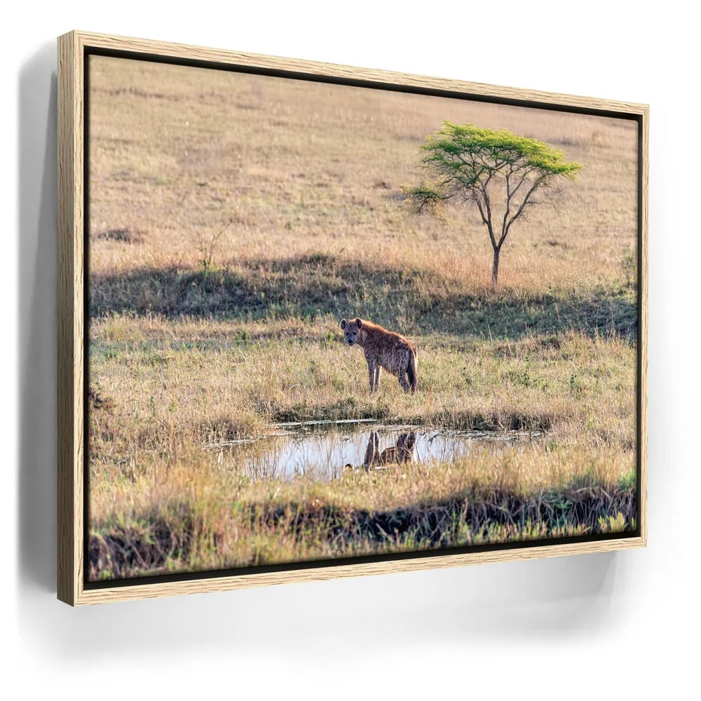 Featured image 9 for Hyena At Watering Hole Tanzania Africa