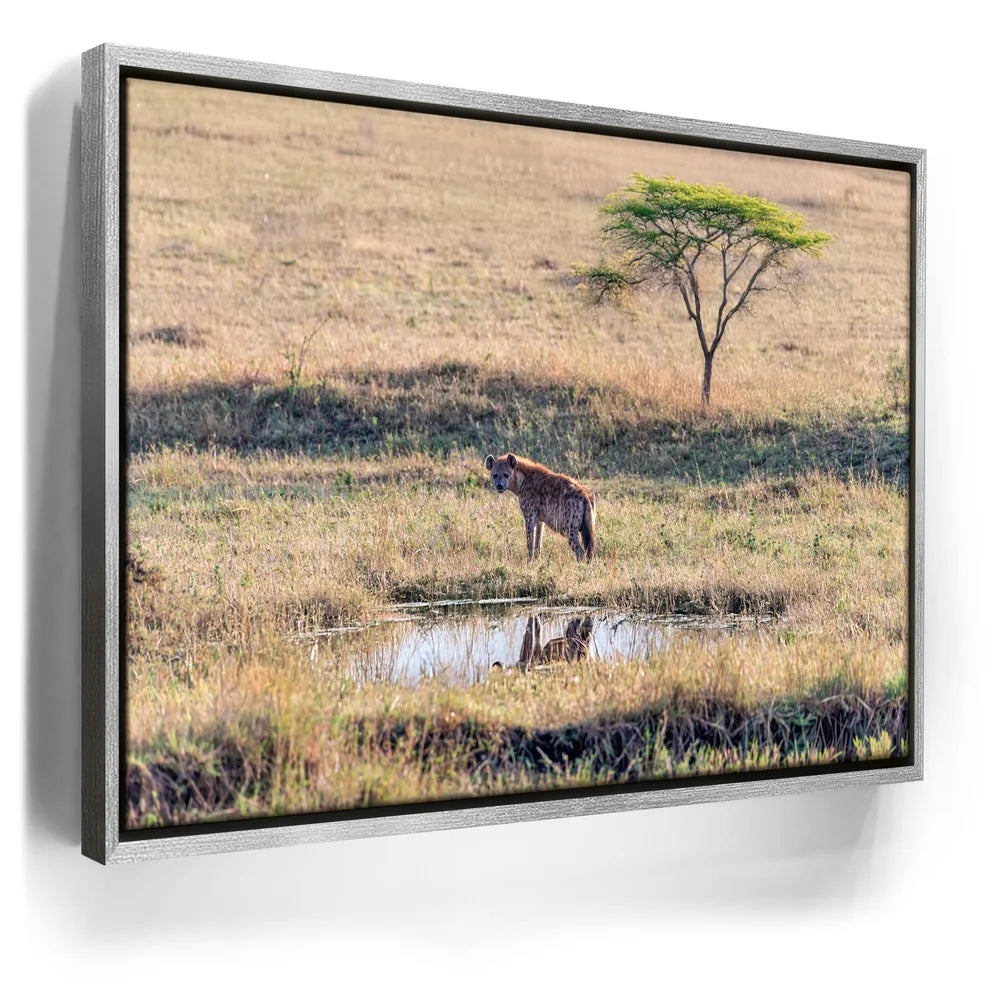 Featured image 8 for Hyena At Watering Hole Tanzania Africa