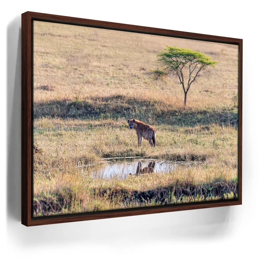 Featured image 10 for Hyena At Watering Hole Tanzania Africa