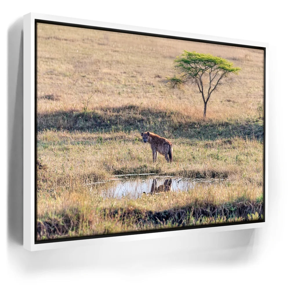 Featured image 6 for Hyena At Watering Hole Tanzania Africa