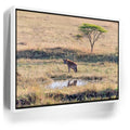 Featured image 6 for Hyena At Watering Hole Tanzania Africa
