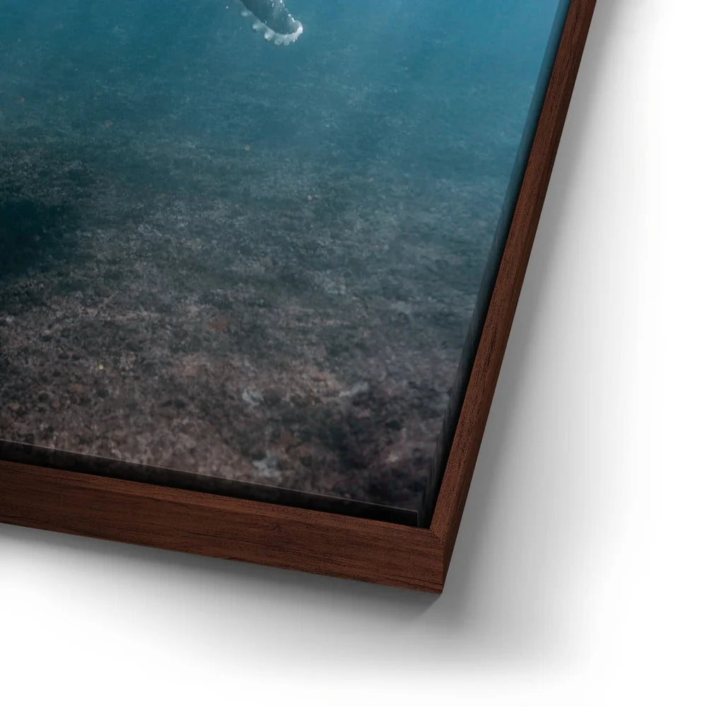 Featured image 14 for I See You - Tahiti