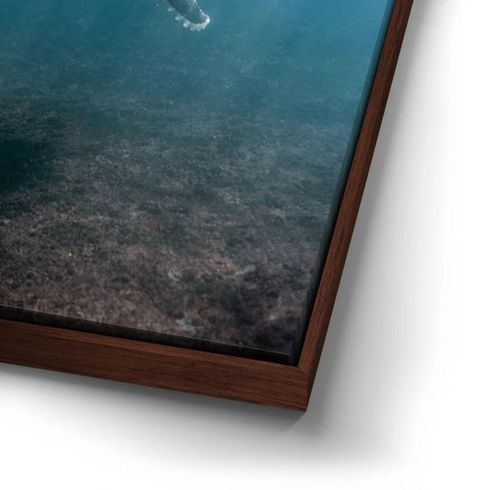 Featured image 14 for I See You - Tahiti