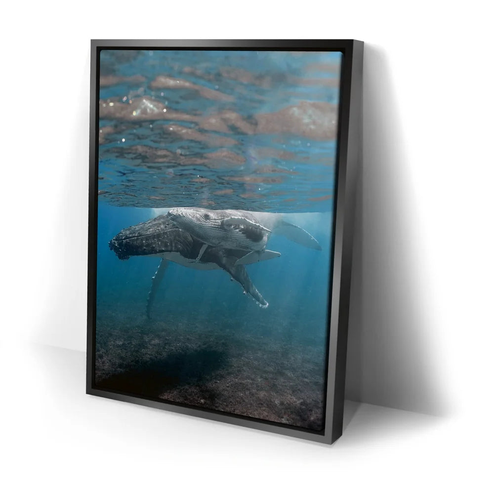 Featured image 2 for I See You - Tahiti