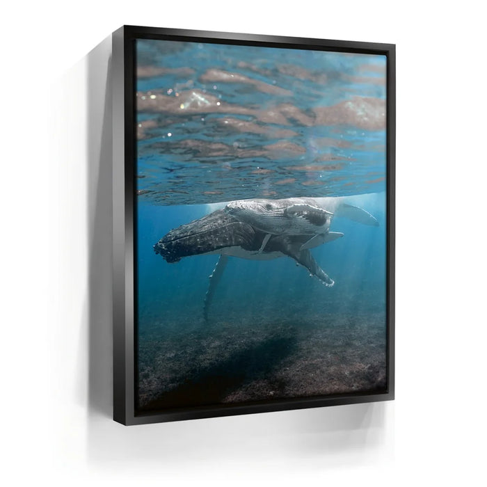 Featured image 5 for I See You - Tahiti