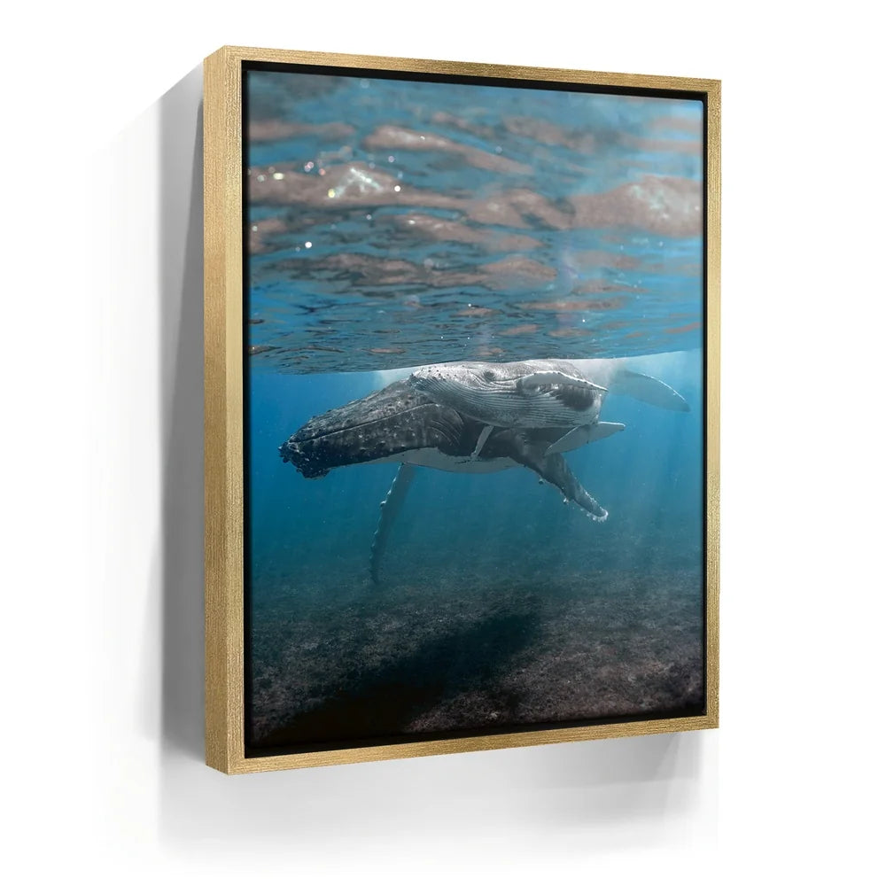 Featured image 7 for I See You - Tahiti