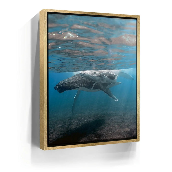 Featured image 7 for I See You - Tahiti