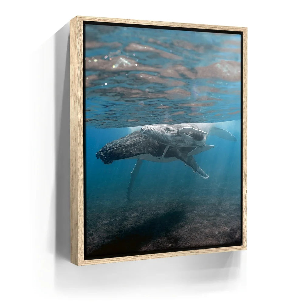 Featured image 9 for I See You - Tahiti