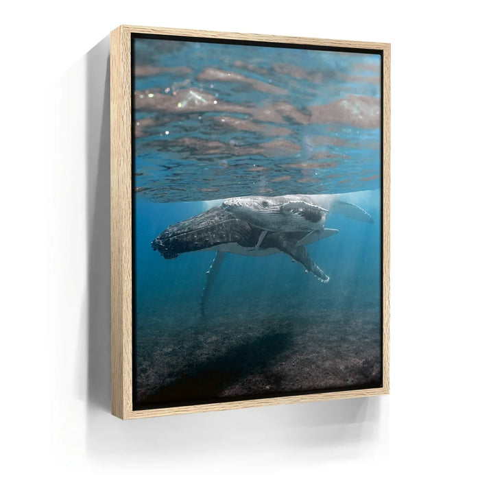 Featured image 9 for I See You - Tahiti