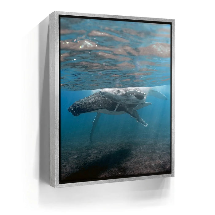 Featured image 8 for I See You - Tahiti