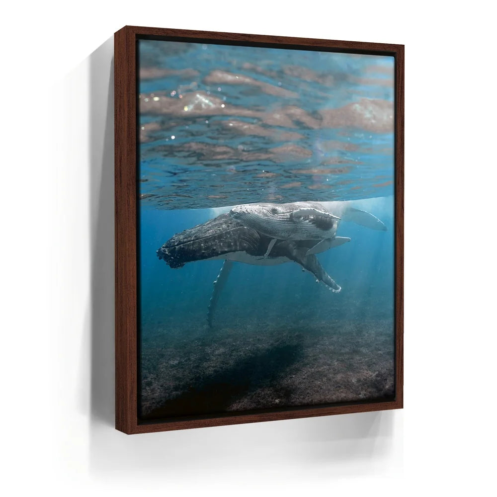 Featured image 10 for I See You - Tahiti