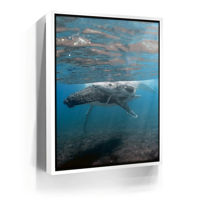 Featured image 6 for I See You - Tahiti