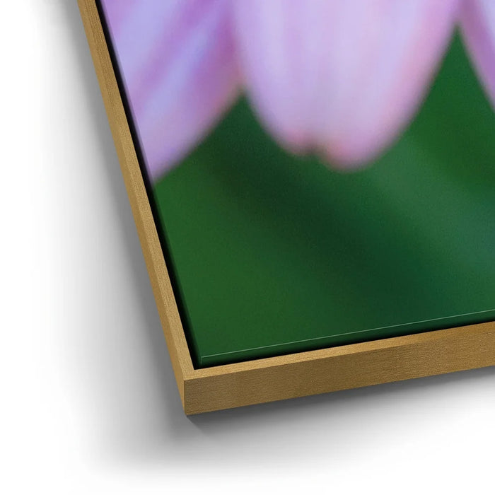 Featured image 12 for Inner Bouquet