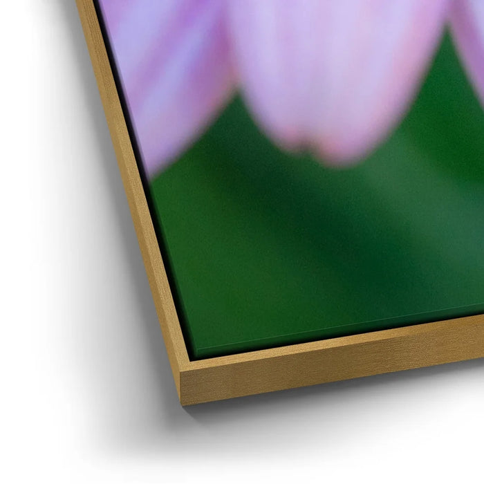 Featured image 12 for Inner Bouquet