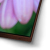 Thumbnail image 14 for Inner Bouquet