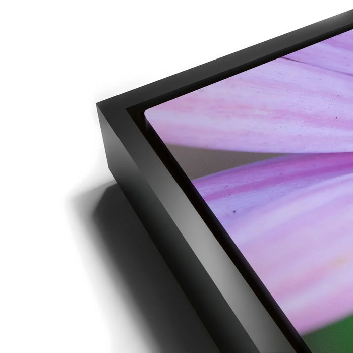 Featured image 11 for Inner Bouquet