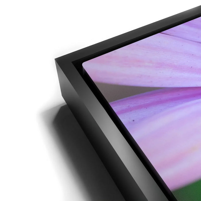 Featured image 11 for Inner Bouquet