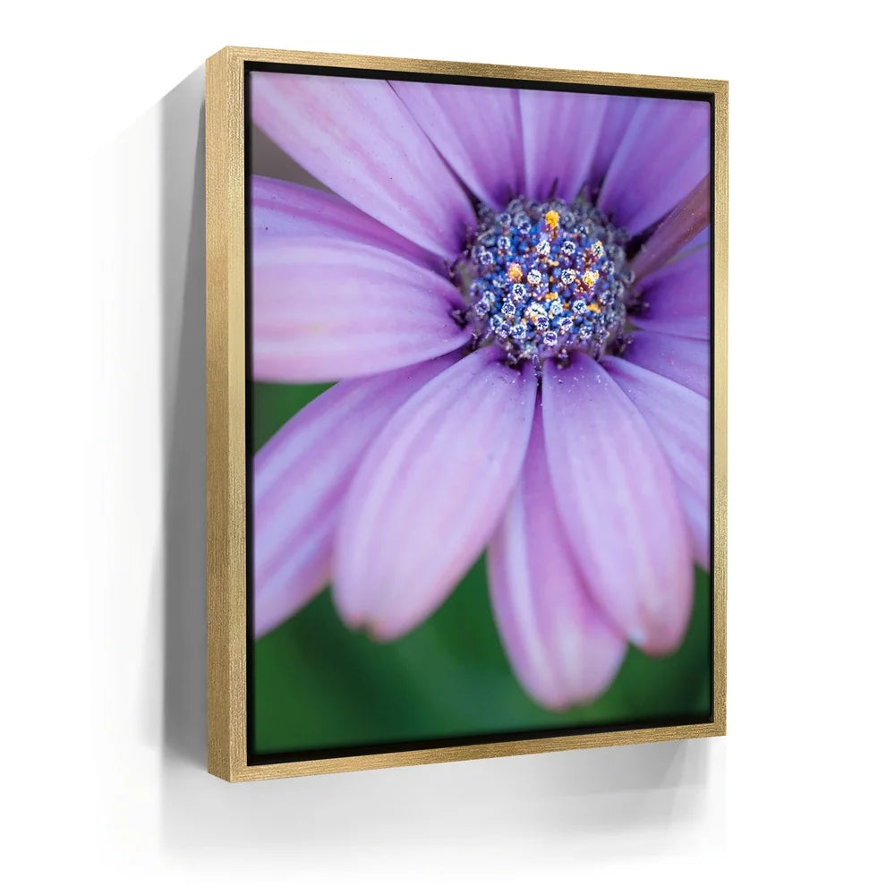 Featured image 7 for Inner Bouquet