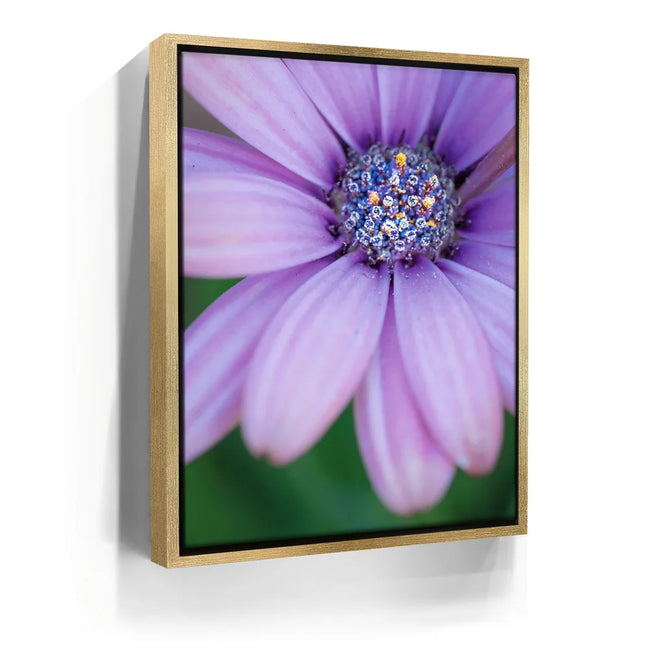 Featured image 7 for Inner Bouquet